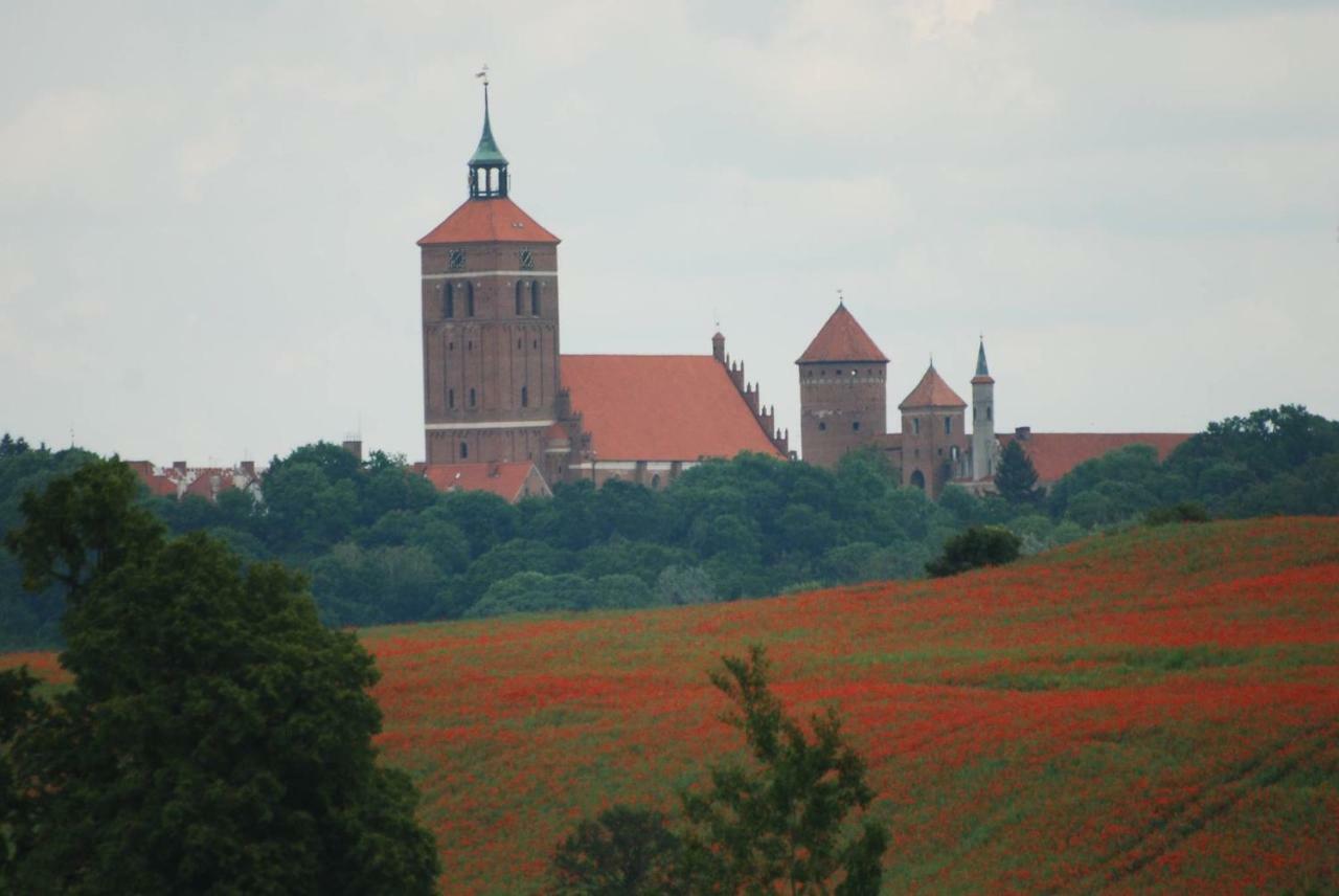 Dom Goscinny Ogluszka Pilec Bagian luar foto
