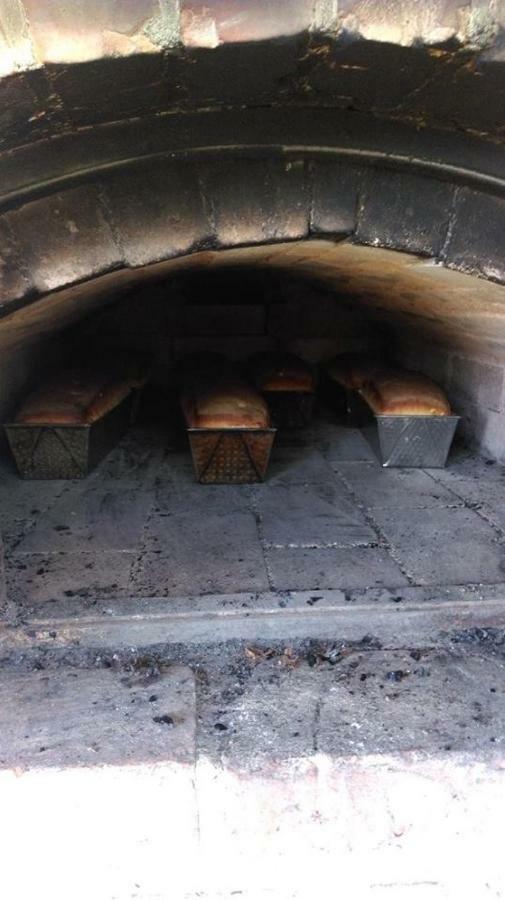 Dom Goscinny Ogluszka Pilec Bagian luar foto